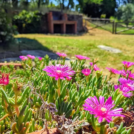 Petrolo Farm stay *