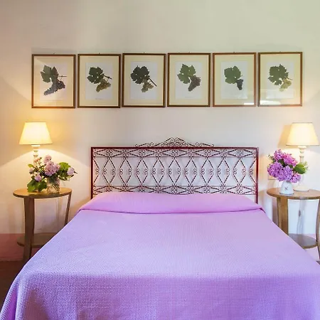 Petrolo Farm stay *