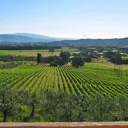 Petrolo Farm stay *