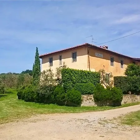 Petrolo *